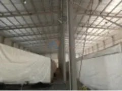 50,000 SqFt Warehouse With Shed And Office For Rent In Jebal Ali with High Electrical load 1000 KW